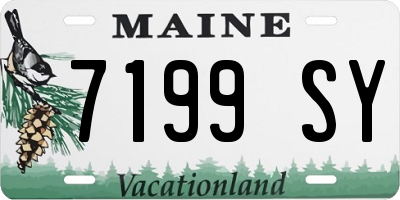 ME license plate 7199SY