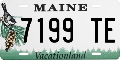 ME license plate 7199TE