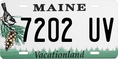 ME license plate 7202UV