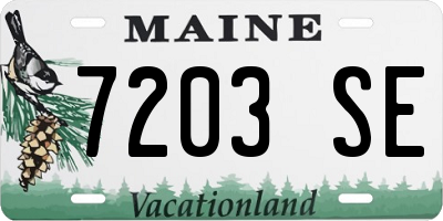ME license plate 7203SE
