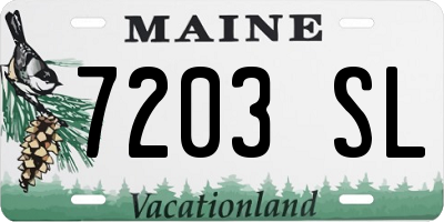 ME license plate 7203SL