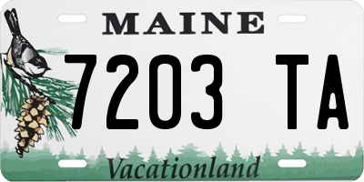 ME license plate 7203TA