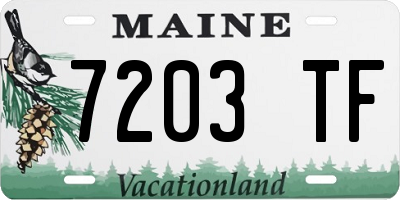 ME license plate 7203TF