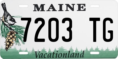ME license plate 7203TG
