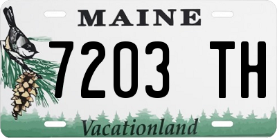 ME license plate 7203TH