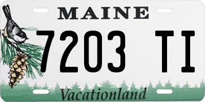 ME license plate 7203TI