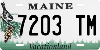 ME license plate 7203TM