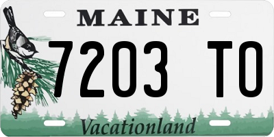 ME license plate 7203TO