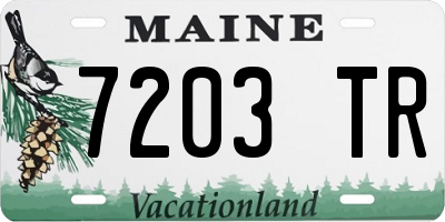 ME license plate 7203TR