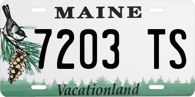 ME license plate 7203TS