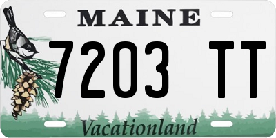 ME license plate 7203TT