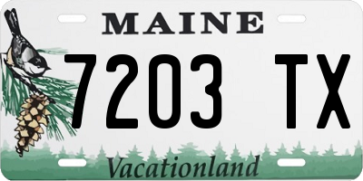 ME license plate 7203TX