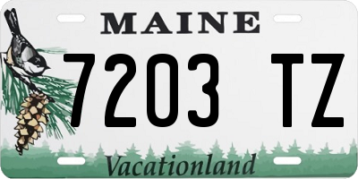 ME license plate 7203TZ