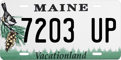ME license plate 7203UP