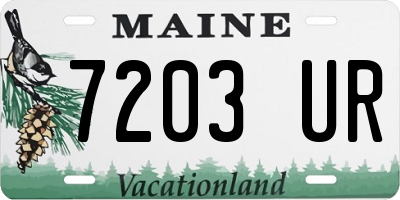 ME license plate 7203UR