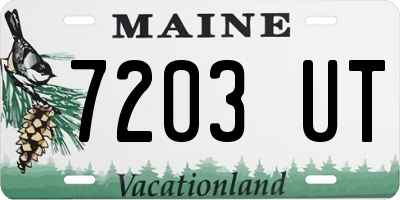 ME license plate 7203UT