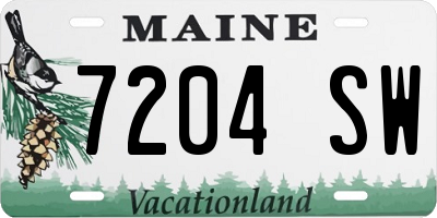 ME license plate 7204SW