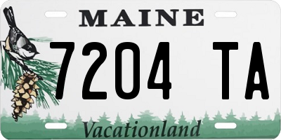 ME license plate 7204TA