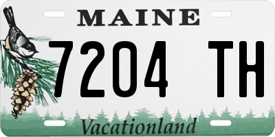 ME license plate 7204TH
