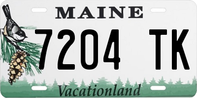 ME license plate 7204TK