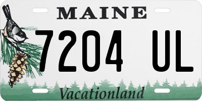 ME license plate 7204UL