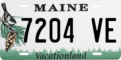 ME license plate 7204VE