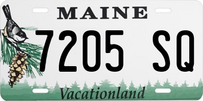 ME license plate 7205SQ