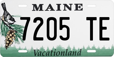 ME license plate 7205TE