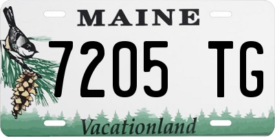 ME license plate 7205TG