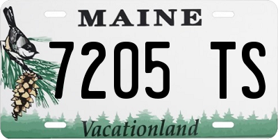 ME license plate 7205TS