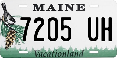 ME license plate 7205UH
