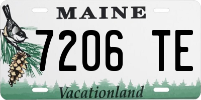 ME license plate 7206TE