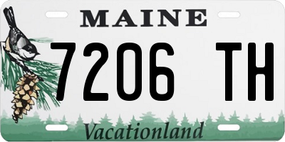 ME license plate 7206TH