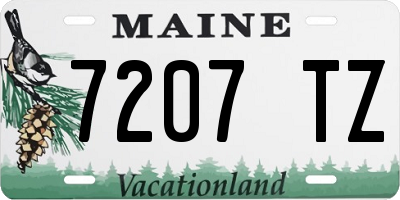 ME license plate 7207TZ