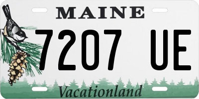 ME license plate 7207UE