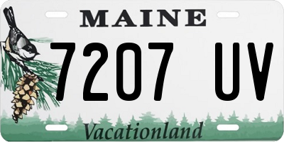 ME license plate 7207UV