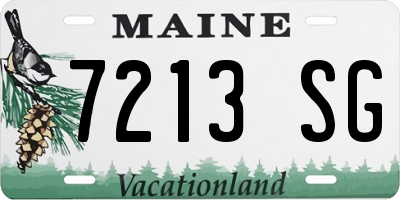 ME license plate 7213SG
