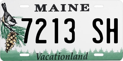 ME license plate 7213SH