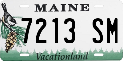 ME license plate 7213SM