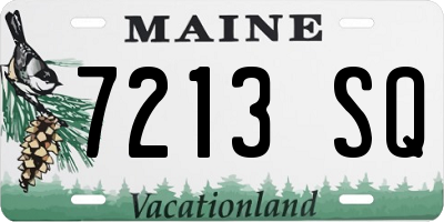 ME license plate 7213SQ