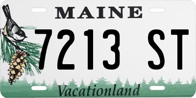 ME license plate 7213ST