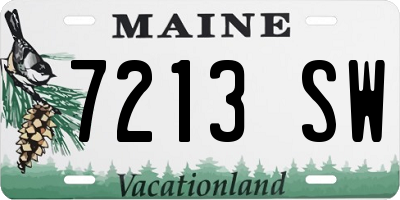 ME license plate 7213SW