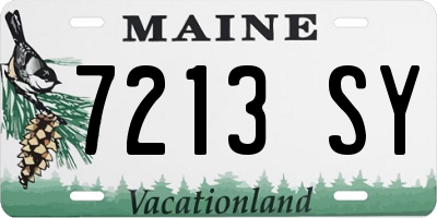 ME license plate 7213SY