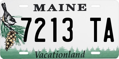 ME license plate 7213TA