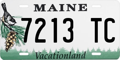 ME license plate 7213TC