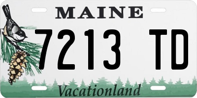 ME license plate 7213TD