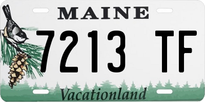 ME license plate 7213TF