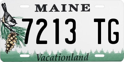 ME license plate 7213TG