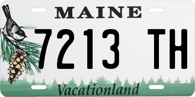 ME license plate 7213TH