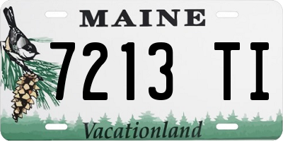 ME license plate 7213TI